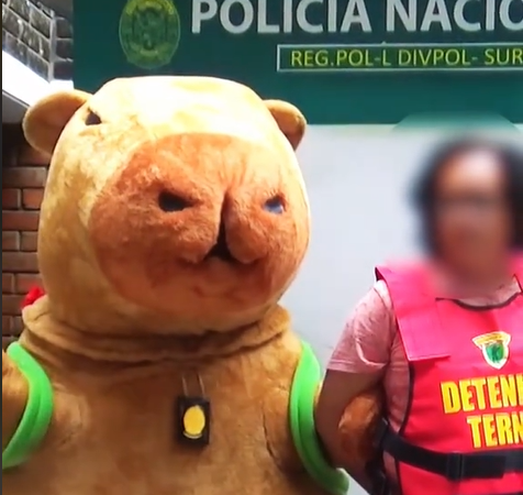 Capibara Policía de Perú