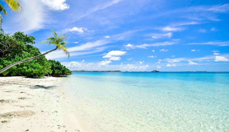 Cofepris prohíbe ir a nadar a estas playas entérate a tiempo