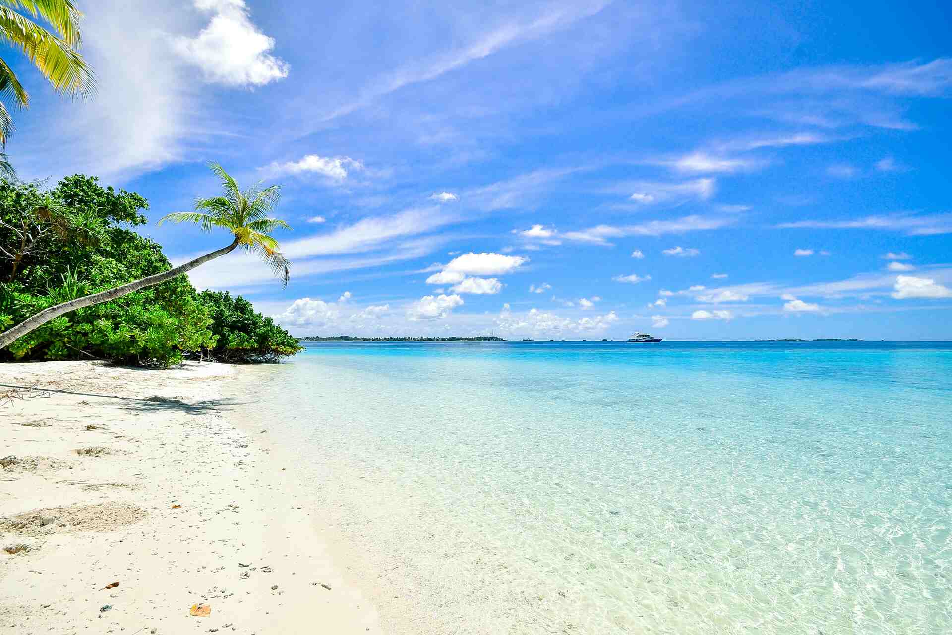 Cofepris prohíbe ir a nadar a estas playas entérate a tiempo
