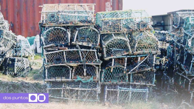 Banda de traficantes de hormigas en Kenia podría pasar 1 años en prisión