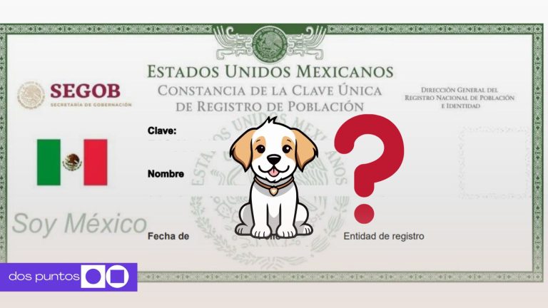 CURP mascotas, RUAC, CURP, Ciudad de México, Multa