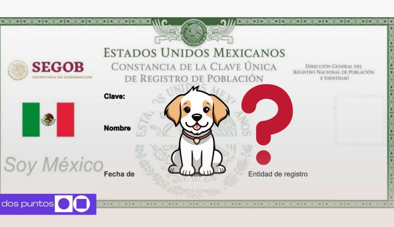 CURP mascotas, RUAC, CURP, Ciudad de México, Multa