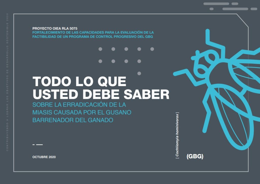 En los últimos días, han surgido muchas historias sobre el temible Gusano Barrenador del ganado, una plaga que parece sacada de una película de terror. Se trata de una mosca que deposita los huevos de sus larvas en las heridas de mamíferos; luego, las larvas se entierran y devoran la carne de sus víctimas. Aunque parecía erradicada, ha regresado recientemente y, al parecer, ha cobrado su primera víctima en Campeche.