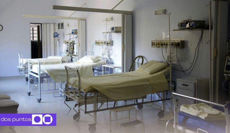 Gusano Barrenador, Moscas, Plaga, Campeche, Ganado