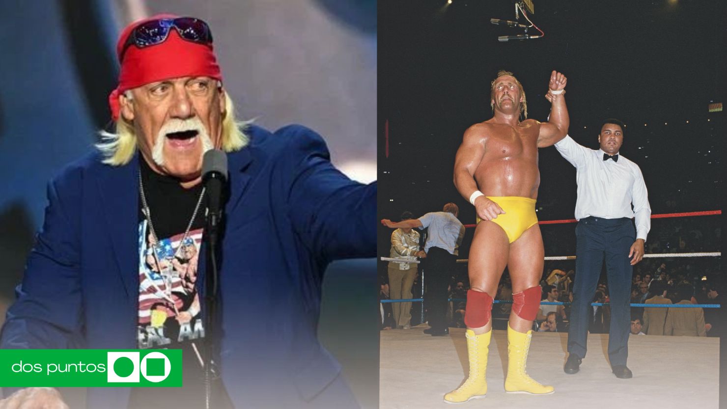 Hulk Hogan, WWE, Lucha Libre, Carrera