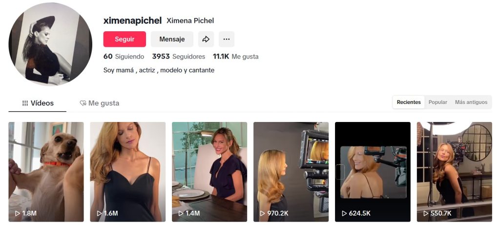 En los últimos días se han vuelto virales los videos de una tal “Lady Racista”, la cual luego fue identificada como Ximena Pichel, una actriz de Argentina que había llegado a vivir en México, con actitudes de intolerancia y racismo en contra de los mexicanos. Aunque parecía que la historia ya había llegado a su fin, hoy hemos aprendido de una gran cantidad de información nueva de la figura más controversial de las redes sociales.