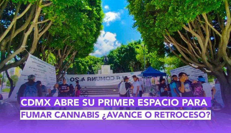 En esta edición de Dos News, repasamos desde la emboscada del ICE en L.A. y un nuevo episodio de South Park contra Trump, hasta las acusaciones de Lilly Téllez hacia Sheinbaum y Adán Augusto. Además, hablamos de la zona para fumar marihuana en CDMX, el caso de #LordElevador, y el regreso de Tim Burton al stop motion junto a Merlina. También: polémica con Adidas, tributo coreano a José José y el hallazgo de dientes de tiburón prehistórico. ¿Que nos espera en México mágico y el mundo? Entérate en dos puntos punto media, plataforma de Puebla, México