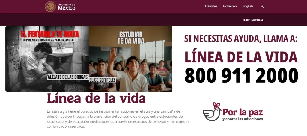 El 10 de septiembre celebramos el Día Mundial de la Prevención del Suicidio. Aunque esta es una figura retórica, es un momento de reflexión muy importante. Aunque México está muy lejos de encabezar esta lista, es sumamente vital reconocer los riesgos en los que se encuentran los jóvenes, así como las mejores herramientas para ayudarlos, como la Línea de la Vida y mantener una buena salud mental.