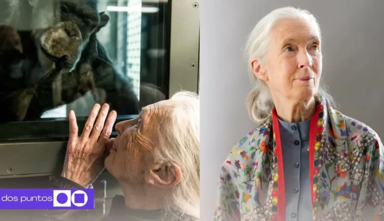 Jane Goodall, Quién es Jane Goodall, Gorilas en la niebla, Chimpancé, Jane Goodall México, dos puntos punto media, a