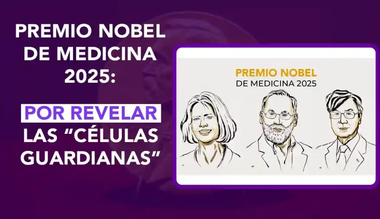 Mary E. Brunkow, Fred Ramsdell y Shimon Sakaguchi son los ganadores del Premio Nobel de Fisiología y Medicina. En dospuntos te contamos más