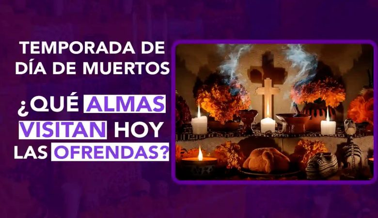 Día de Muertos, fallecidos, camino, más allá, mundo de los vivos, ofrenda, amor, cercanía, mexicanos, seres queridos, han partido, 27 de octubre, almas, orden específico, tradición mexicana, almas de las mascotas, pequeña ofrenda, comidas preferidas, croquetas, agua, premios, juguetes, 28 de octubre, perdieron la vida de manera trágica, violencia, accidentes, asesinadas, murieron atropelladas, flor blanca, homenaje, 29 de octubre