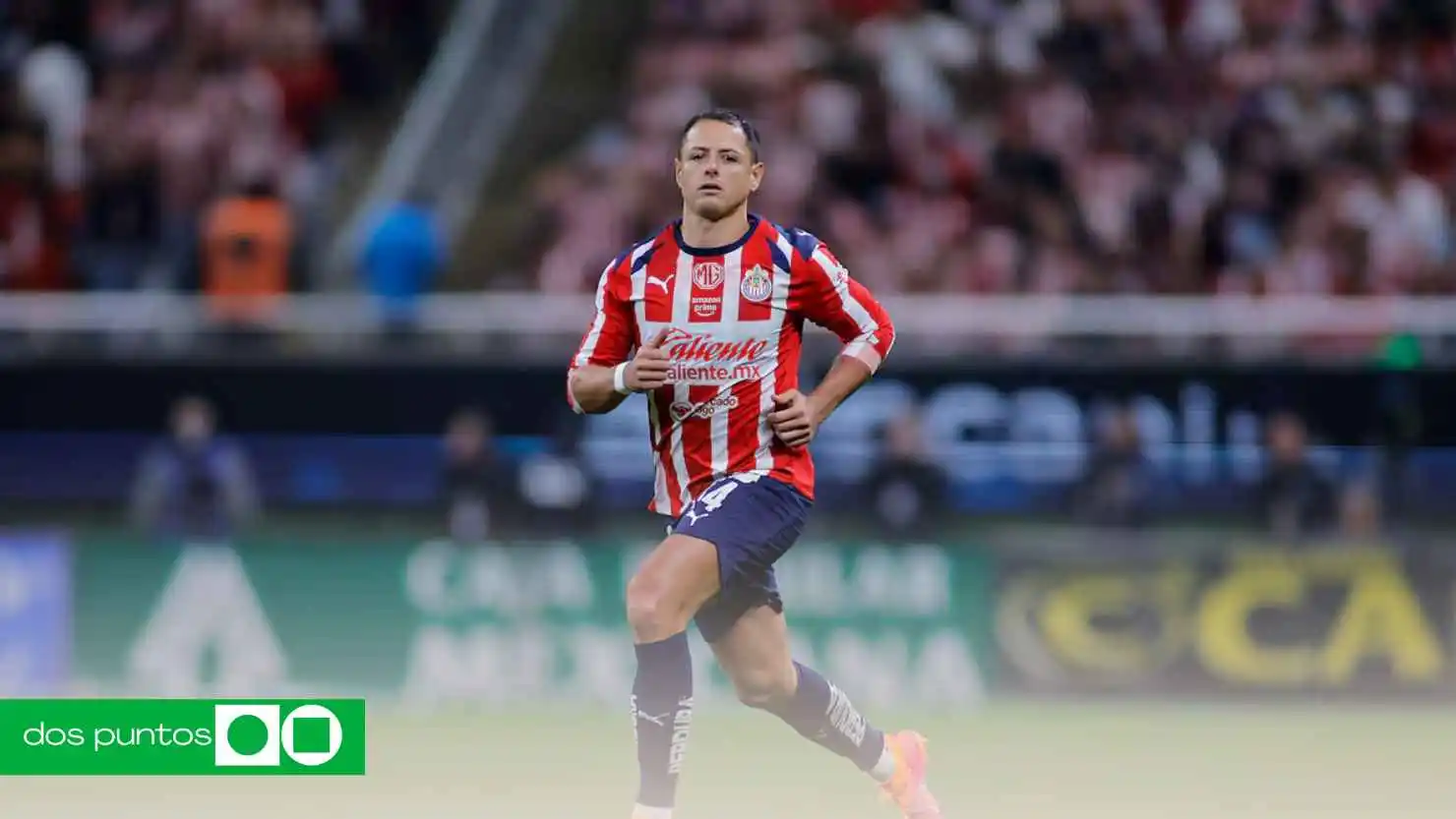 Chicharito sale de Chivas, salida Chicharito Chivas, Chicharito deja Chivas, Hormiga González inspiración, Chivas noticias, Chicharito 2025, goleador Hormiga González, Liga MX Chivas