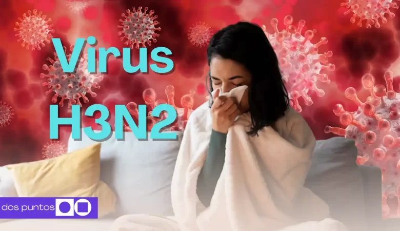 H3N2 origen, influenza, virus H3N2 2025, H3N2 subclado K, H3N2 peligro, síntomas H3N2, vacuna gripe eficacia H3N2, tratamiento influenza H3N2, grupos de riesgo gripe H3N2, prevención H3N2, CDC H3N2 2025, WHO influenza 2025, PAHO H3N2, influenza A(H3N2) subclade J.2.4.1, cómo protegerse gripe 2025, diferencia H3N2 y COVID-19, dos puntos punto media