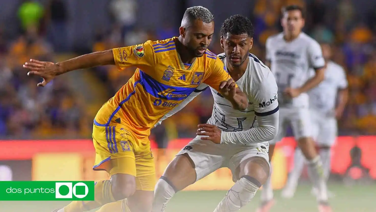 UNAM, Tigres vs Pumas, Tigres vs Pumas Clausura 2026, Tigres Pumas horario, Tigres Pumas previa