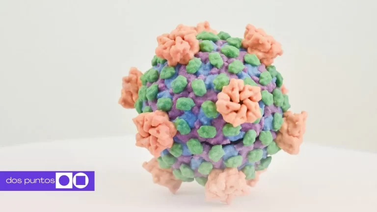 virus nipah, virus india, virus, virus nipah síntomas, virus nipah OMS, dos puntos, dos puntos media