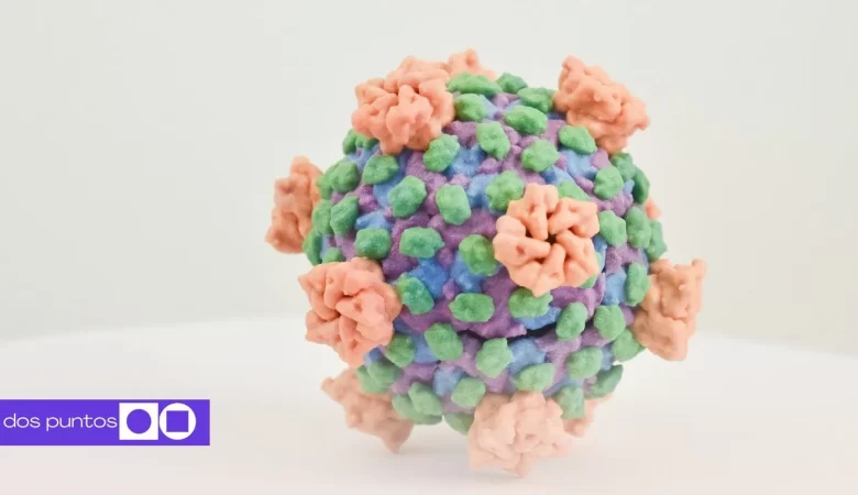 virus nipah, virus india, virus, virus nipah síntomas, virus nipah OMS, dos puntos, dos puntos media