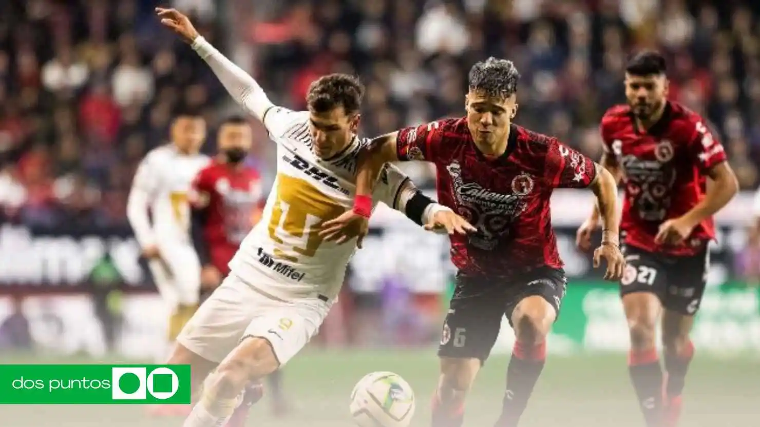 Tijuana vs Pumas horario, previa Jornada 8 Liga MX, Pumas Clausura 2026