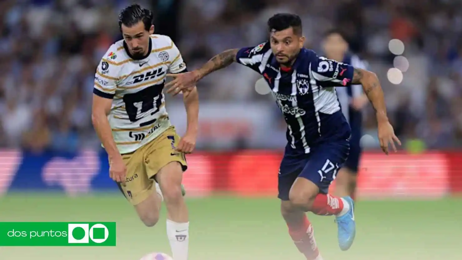 Pumas vs Monterrey horario, dónde ver Pumas Rayados, Liga MX Jornada 7