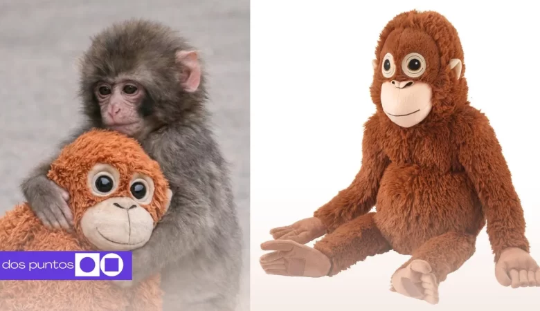 Punch, Mono Punch, Punch Peluche, Que es Punch, Peluche mono punch, dos puntos, dos puntos media