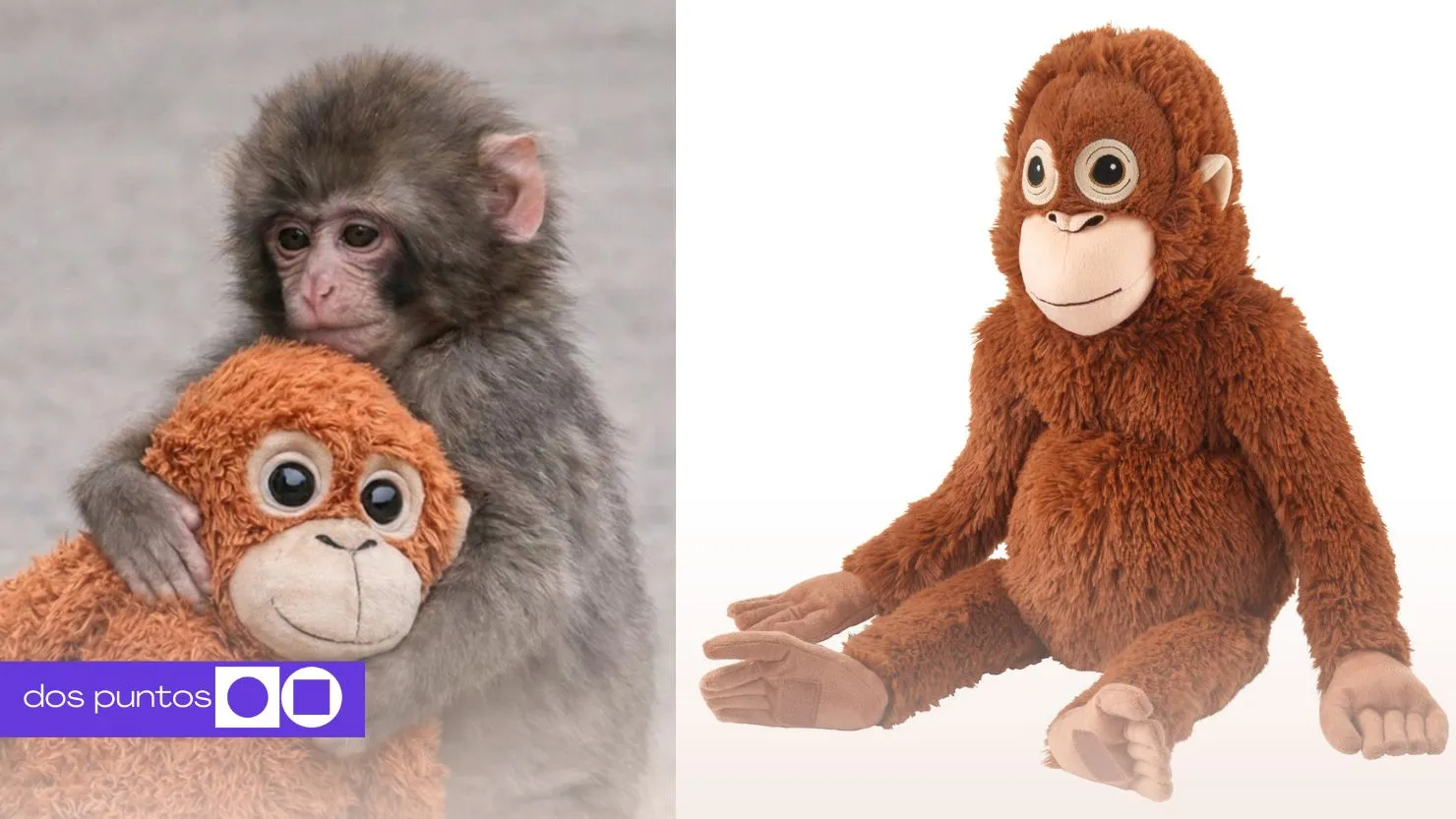 Punch, Mono Punch, Punch Peluche, Que es Punch, Peluche mono punch, dos puntos, dos puntos media