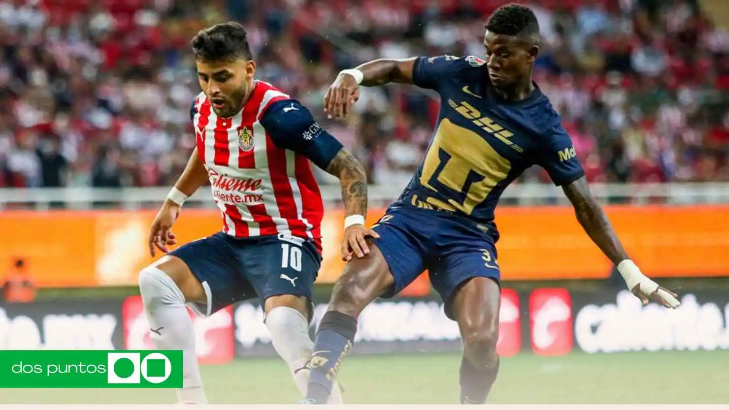 Chivas vs Pumas en vivo, horario Chivas Pumas, dónde ver Chivas hoy