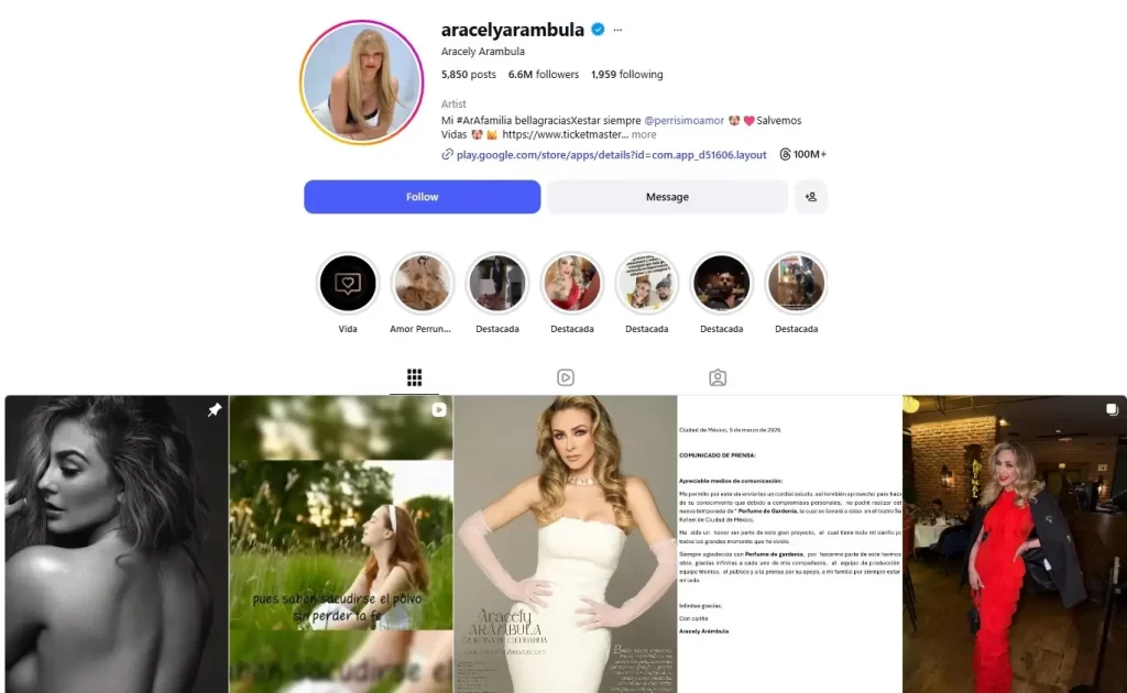 Un fenómeno que vemos en la modernidad es cómo una persona famosa puede heredar parte de ese brillo a sus hijos, lo quieran o no, con muchos casos de dinastías en los que múltiples generaciones siguen el mismo camino musical. Un caso muy interesante son los hijos de Luis Miguel y Aracely Arámbula, Miguel Gallego y Daniel Gallego, de los cuales aparecieron sus primeras fotos tras muchos años. En dos puntos te vamos a contar todo sobre esta revelación, cómo los encontraron y si ellos también tienen el talento para convertirse en una de las voces más importantes en la cultura mexicana.