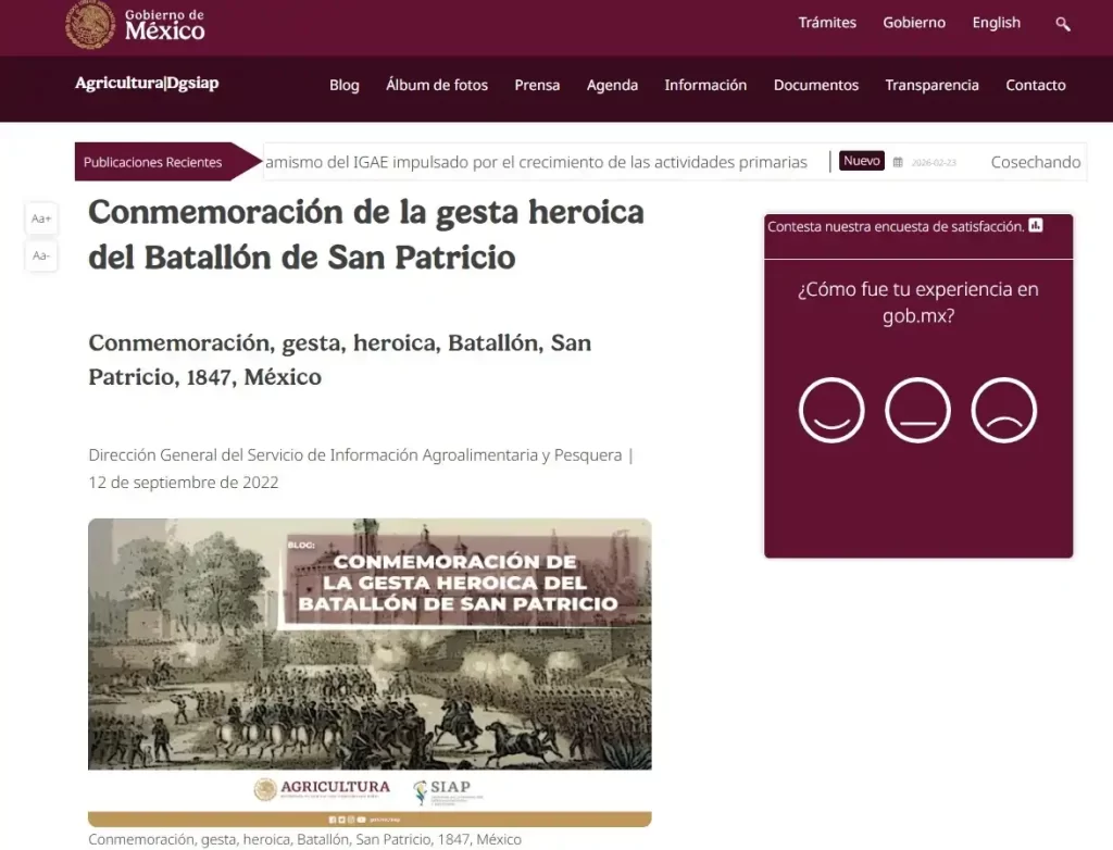 Hay muchas celebraciones coloridas en todo el mundo, desde aquellas en donde vemos enormes festivales en las calles, hasta momentos en que las comunidades se unen para crear grandes obras de arte para que todos las disfruten. Sin embargo, de todas estas tradiciones, solo una consiguió apoderarse de un color por completo, ese es el caso del día de San Patricio 2026 en México, puesto que las comunidades irlandesas celebran su legado y contribuciones. En dos puntos te explicamos de qué se trata esta fecha en el calendario, las maneras en las que se vive en diferentes partes de la Tierra, incluido nuestro país.