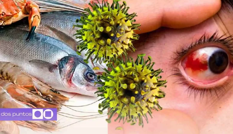 nodavirus CMNV, dos puntos punto media, virus ocular síntomas, nodavirus humanos, uveítis viral anterior, infección ocular virus marino, cómo se contagia nodavirus, prevención nodavirus, enfermedades zoonóticas ojos, virus que causa ceguera, salud visual infecciones, síntomas infección ocular grave, dos puntos punto media