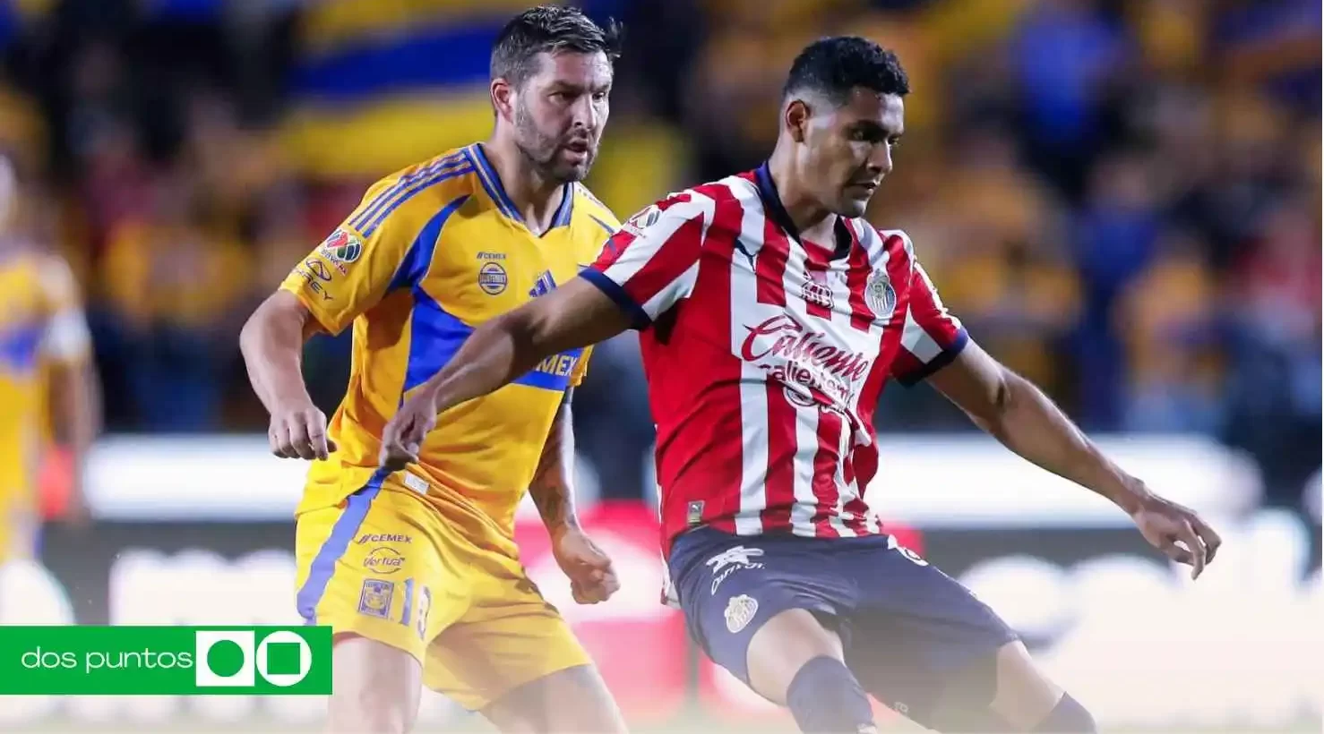 Jornada 14, Tigres vs Chivas en vivo, horario Tigres Chivas, dónde ver Chivas hoy