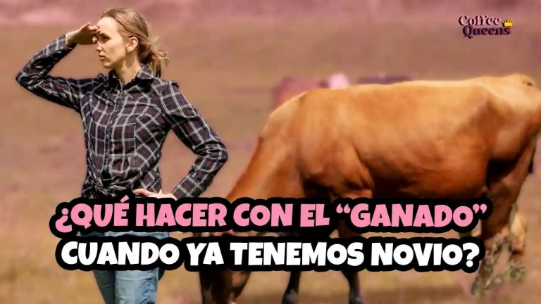 ¿Que-hacer-con-el-ganado-cuando-ya-tenemos-novio