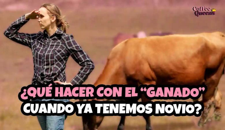 ¿Que-hacer-con-el-ganado-cuando-ya-tenemos-novio