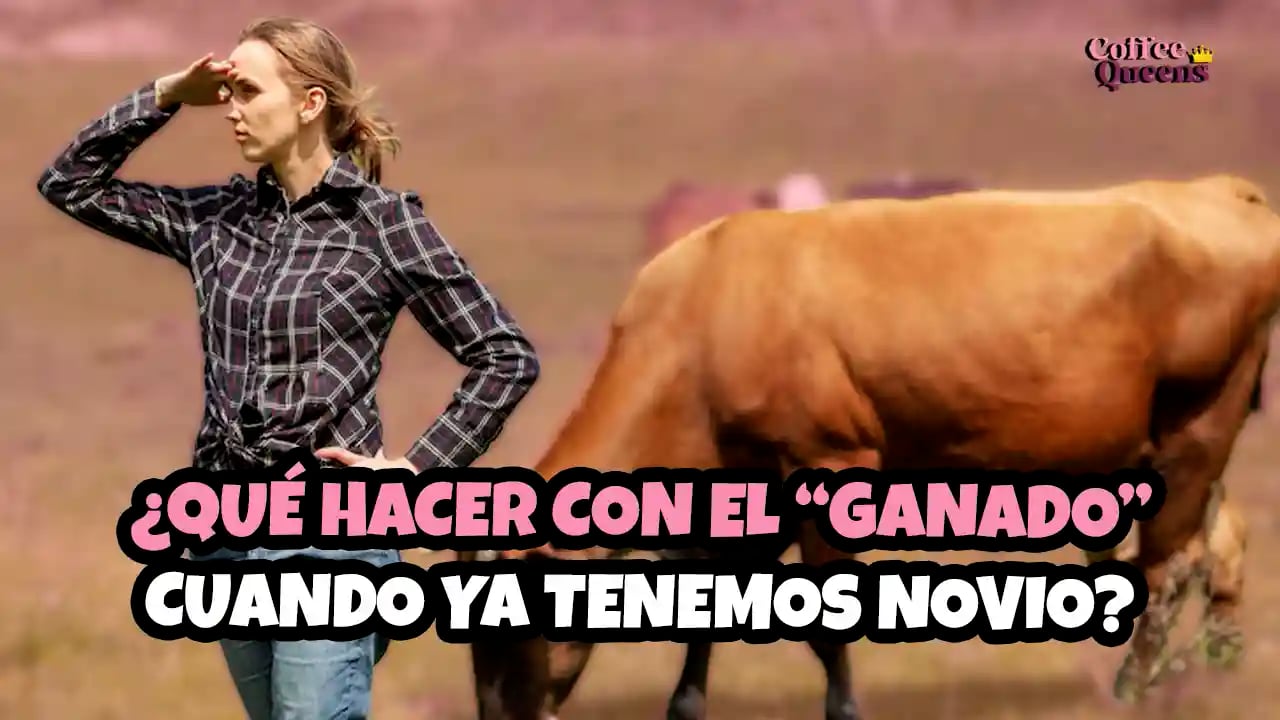 ¿Que-hacer-con-el-ganado-cuando-ya-tenemos-novio