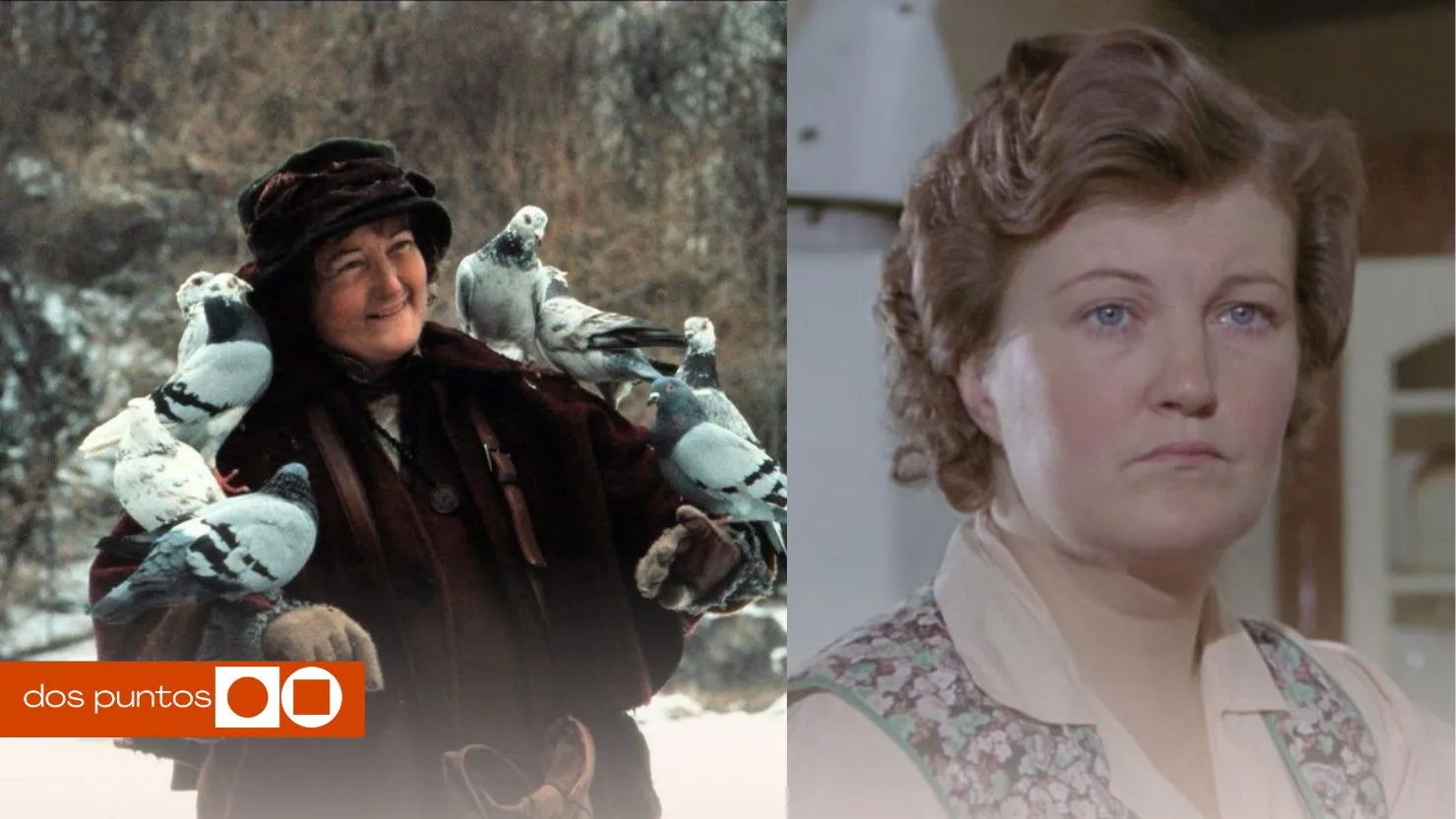 Brenda Fricker, Actriz Brenda Fricker, Brenda Fricker Mi pobre angelito, Brenda Fricker película, Quién es Brenda Fricker, dos puntos, dospuntos
