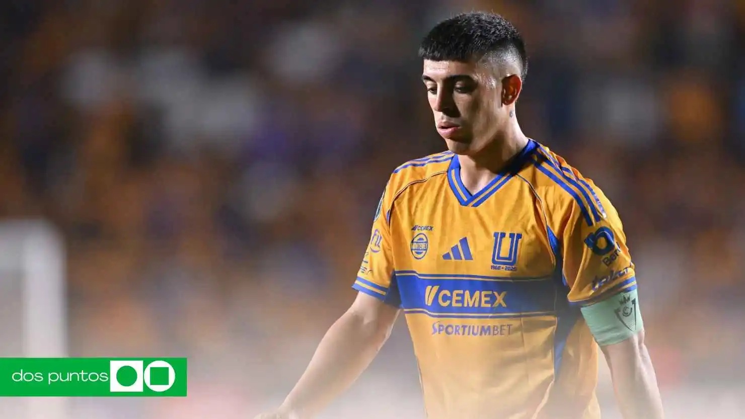 nuevo DT de Tigres, Juan Brunetta, Gerardo Torrado, Tigres UANL, entrenador Tigres, futuro de Brunetta, fichajes Tigres, Liga MX