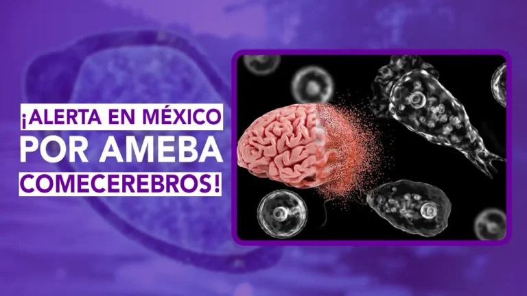 ¡Alerta de salud pública en México! En esta emisión de Dos News te contamos todos los detalles sobre la ameba comecerebros (Naegleria fowleri), tras confirmarse la muerte de un instructor en un lago artificial de Yucatán. Te platicamos cómo actúa este microorganismo en el cuerpo, los síntomas de alerta y las investigaciones tras la clausura del lugar.