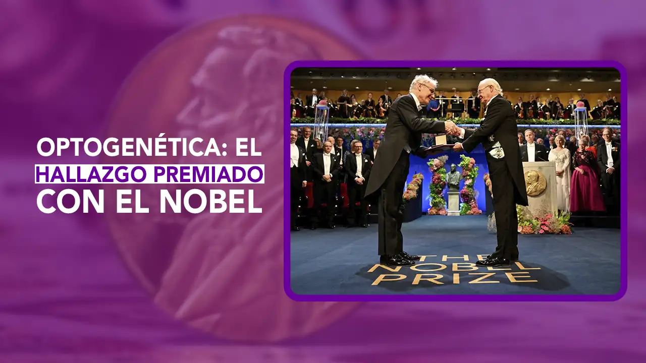 ¡Arrancó la entrega de los Premios Nobel 2026! En esta emisión de Dos News te contamos la concesión del Premio Nobel de Fisiología o Medicina a Karl Deisseroth, Peter Hegemann y Georg Nagel por sus descubrimientos en optogenética. Te platicamos cómo este método usa la luz para controlar neuronas y sus prometedoras aplicaciones para tratar enfermedades neurológicas y restaurar la visión.
