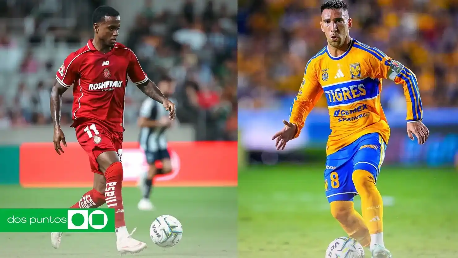 Toluca vs Tigres, Toluca vs Tigres dónde ver, Toluca vs Tigres cuando ver, Toluca vs Tigres partido, Toluca vs Tigres jornada 11, dos puntos, dospuntos